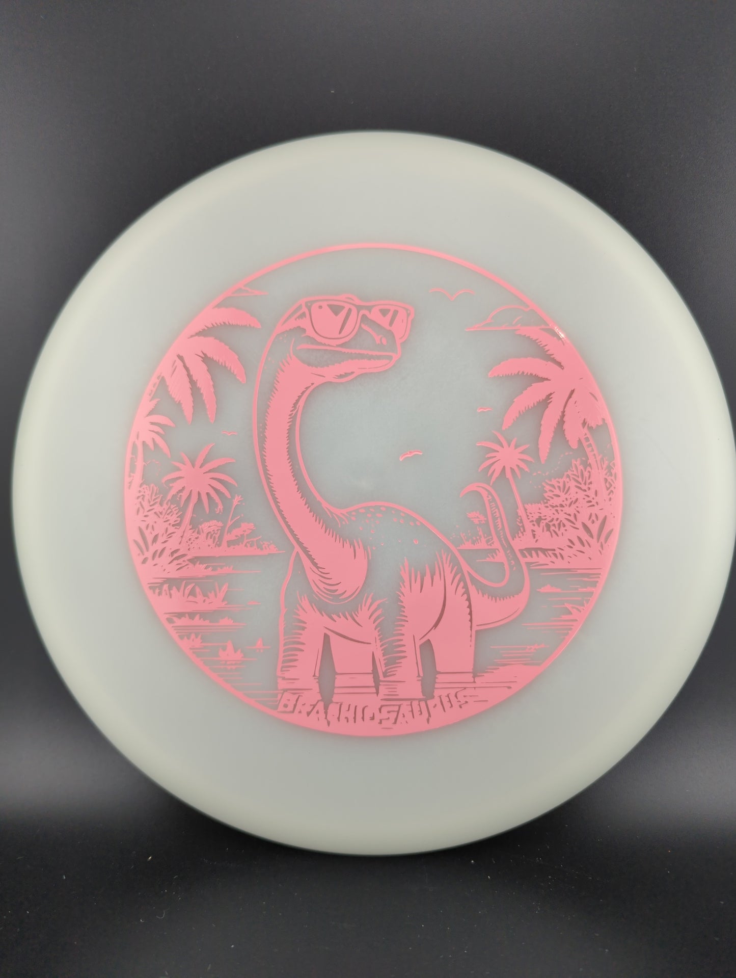 Dino Discs Egg Shell Brachiosaurus